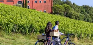 caiarossa riparbella anello del vino