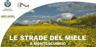 “Le Strade del Miele”