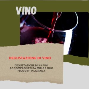 Trekking vino yoga a Piano di Casciana 