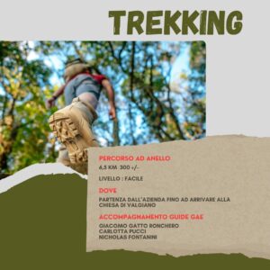 Trekking vino yoga a Piano di Casciana 