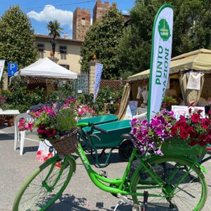 “Castello in Fiore”