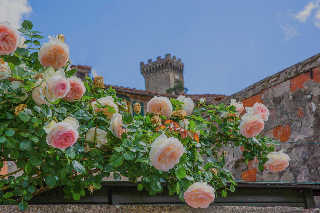 “Castello in Fiore”
