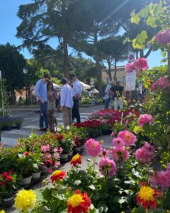“Castello in Fiore”