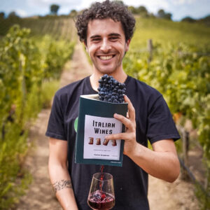 stefano quaglierini libro vino