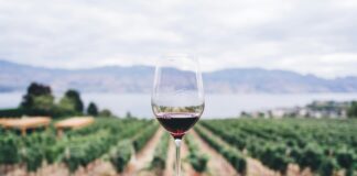 anello del vino riparbella gran galà delle cantine