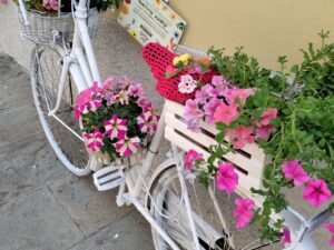 ripafiorita riparbella