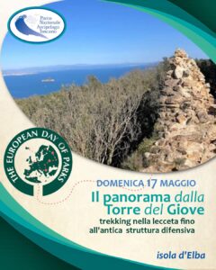 “Camminando nella lecceta verso la Torre del Giove”