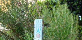 zaffo gin sassetta