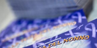 nella testa del nonno libro