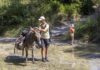 trekking con gli asini in Val di Cecina