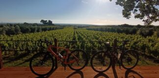 Magona Bike Garage bibbona