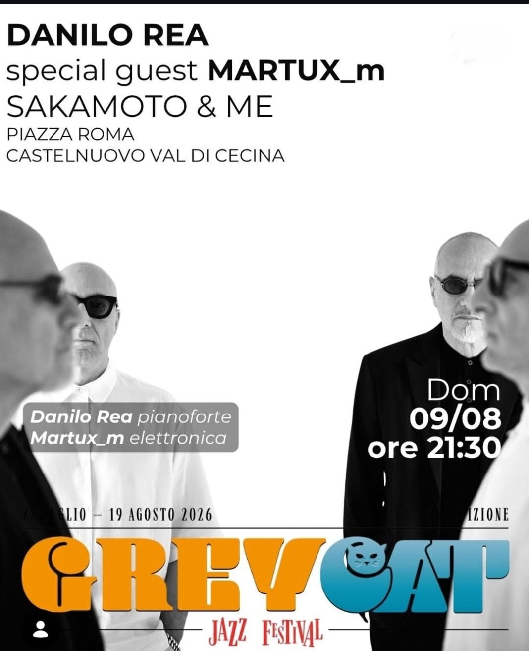 Grey Cat Festival 2026