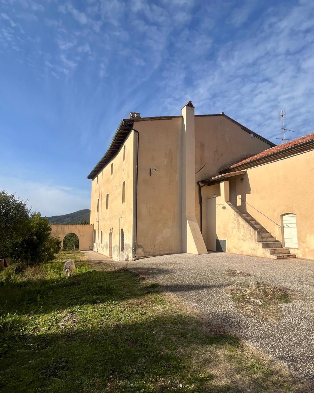 Fattoria di caselli