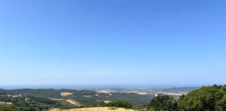eclisse e perseidi castellina marittima
