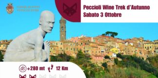 Wine Trekking d'autunno Peccioli