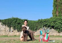 Artemisia sul tetto d’Europa Il sogno dell’allevamento “Delle Acque Dormienti” Lagotto Artemisia European Winner 2026 Stoccolma