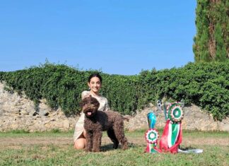 Lagotto Artemisia European Winner 2026 Stoccolma