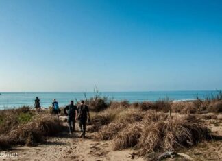 San Rossore d’Autunno fino al mare con il trekking