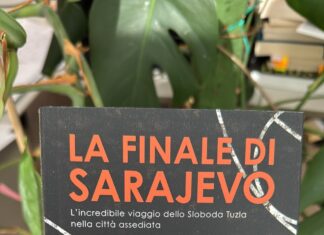 gianni galleri libro