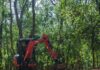 Riparbella Outdoor, si inaugurano i nuovi percorsi nel cuore della natura Riparbella Outdoor