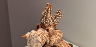 Mostra "La Terra che unisce" a Castiglioncello