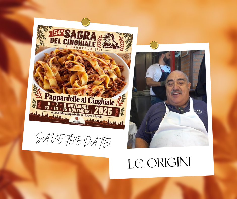 sagra cinghiale riparbella sagra cinghiale riparbella