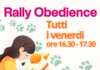 Rally Obedience Rosignano