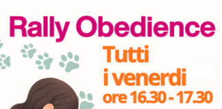 Rally Obedience Rosignano