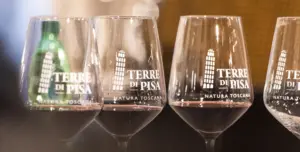 terre di pisa food & wine