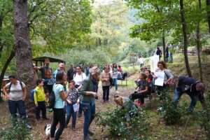 Mostra Camelie d'Autunno