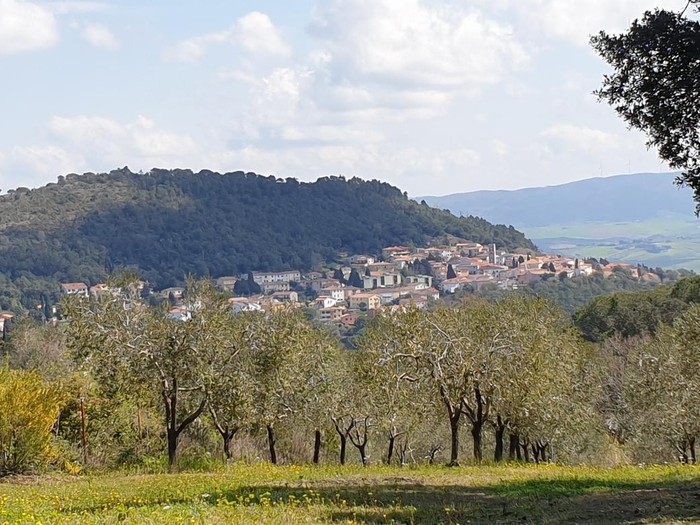 Nibbiaia
